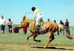 Нийслэлийн Алдарт уяач Г. ЧУЛУУНБАТ: Эхний удаад 13-тайдаа, дараа нь 45-тайдаа стадионд орж билээ