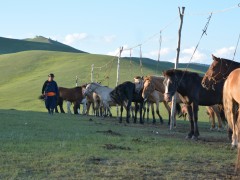 СУМЫН АЛДАРТ УЯАЧ Л.ЦОЛМОН: АЛХАМ ТУТАМДАА Л СУРАЛЦАЖ БАЙНА