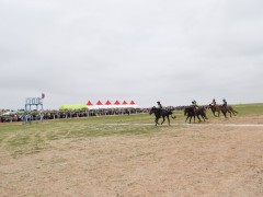 Говийн бүсийн уралдаанд эхний 10-т хурдалсан хурдан шүдлэнгүүд