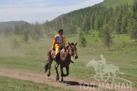 Гачууртын сунгаа их нас