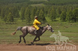 Гачууртын сунгаа их нас