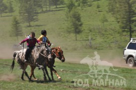 Гачууртын сунгаа их нас