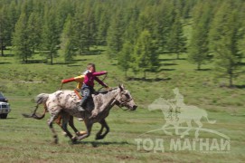 Гачууртын сунгаа их нас