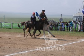 АХ-ын 91 жилийн ойн хурдан шүдлэн насны морьдын фото