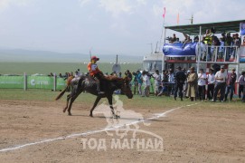 АХ-ын 91 жилийн ойн хурдан шүдлэн насны морьдын фото