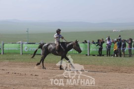 АХ-ын 91 жилийн ойн хурдан шүдлэн насны морьдын фото