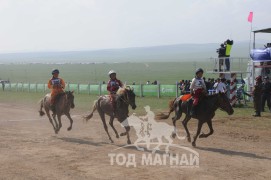 АХ-ын 91 жилийн ойн хурдан шүдлэн насны морьдын фото