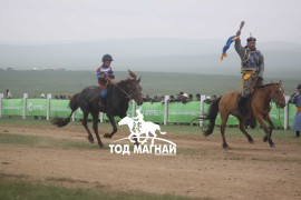 Эхний аравт хурдалсан хурдан азарганууд