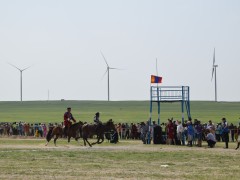 Соён гэгээрүүлэгч говийн V ноён хутагт Данзанравжаагийн мэлмий гийсний 215 жилийн ой, говийн бүсийн уралдаанд эхний 10-т хурдалсан хурдан азарганууд