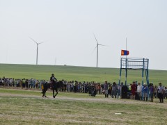 Соён гэгээрүүлэгч говийн V ноён хутагт Данзанравжаагийн мэлмий гийсний 215 жилийн ой, говийн бүсийн уралдаанд эхний 10-т хурдалсан хурдан азарганууд