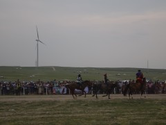 Соён гэгээрүүлэгч говийн V ноён хутагт Данзанравжаагийн мэлмий гийсний 215 жилийн ой, говийн бүсийн уралдаанд эхний 10-т хурдалсан хурдан соёолонгууд