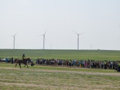 Соён гэгээрүүлэгч говийн V ноён хутагт Данзанравжаагийн мэлмий гийсний 215 жилийн ой, говийн бүсийн уралдаанд эхний 10-т хурдалсан хурдан азарганууд