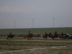 Соён гэгээрүүлэгч говийн V ноён хутагт Данзанравжаагийн мэлмий гийсний 215 жилийн ой, говийн бүсийн уралдаанд эхний 10-т хурдалсан хурдан соёолонгууд